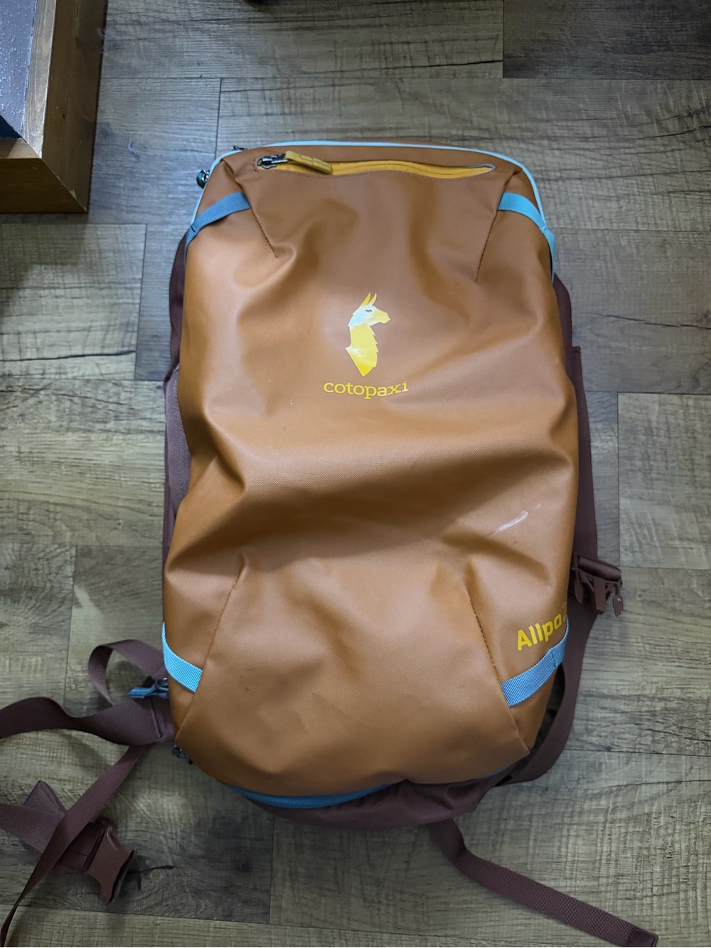 cotopaxi Allpa Backpack in burnt orange with teal accents - Picture 6 of 11